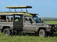 What makes a game drive in the Mara different