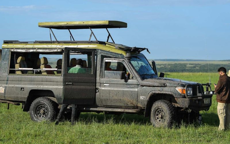 What makes a game drive in the Mara different