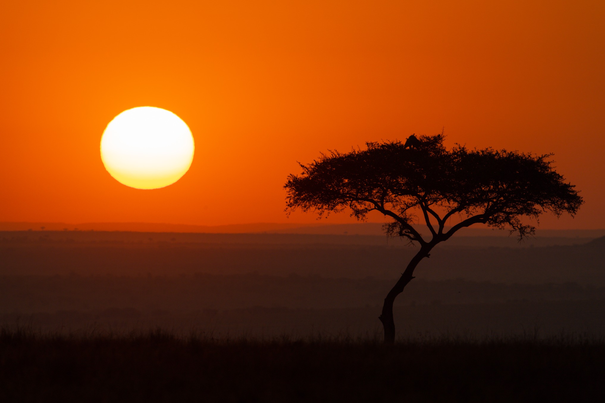 The Masai Mara plains changing colour between seasons