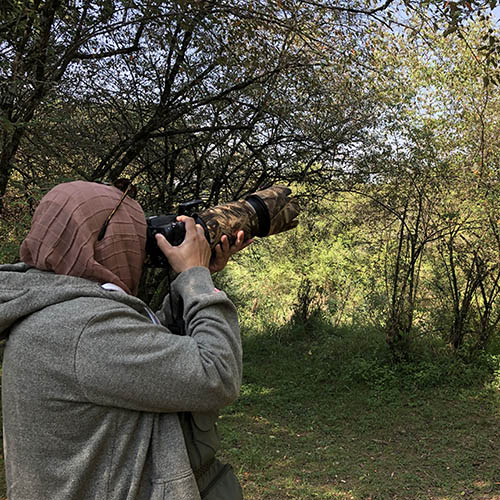 A guide pointing out a bird in the acacia canopy