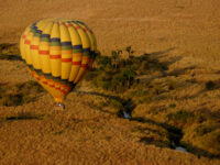 Balloon safaris in Mara