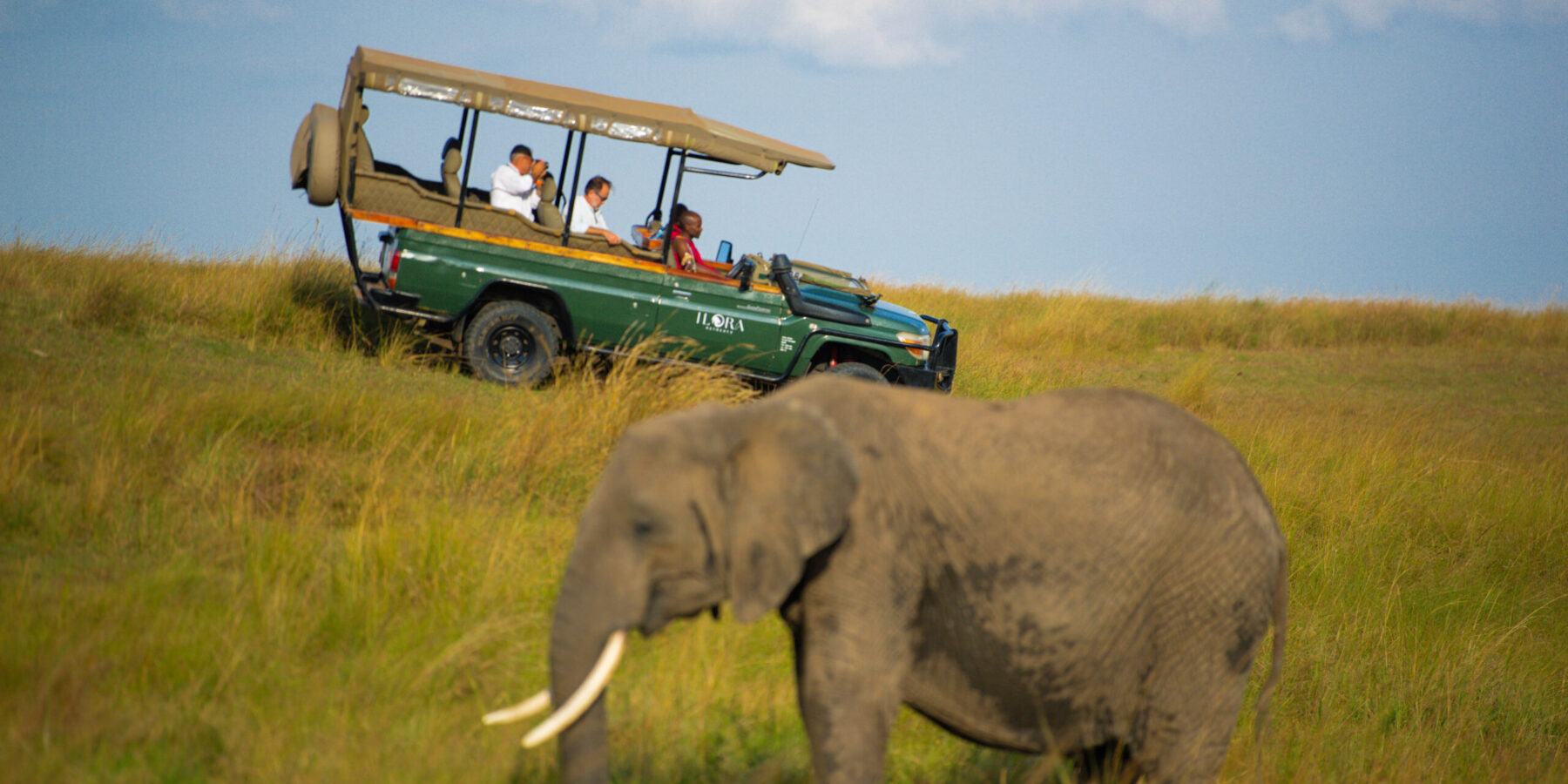Big Five of Masai Mara