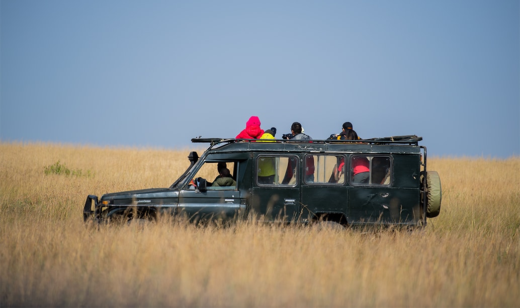 Wildlife silhouetted against the Mara sky at sunset