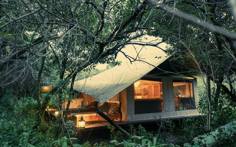 Why a camp inside the reserve changes your photography