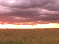 Seasons of Masai Mara
