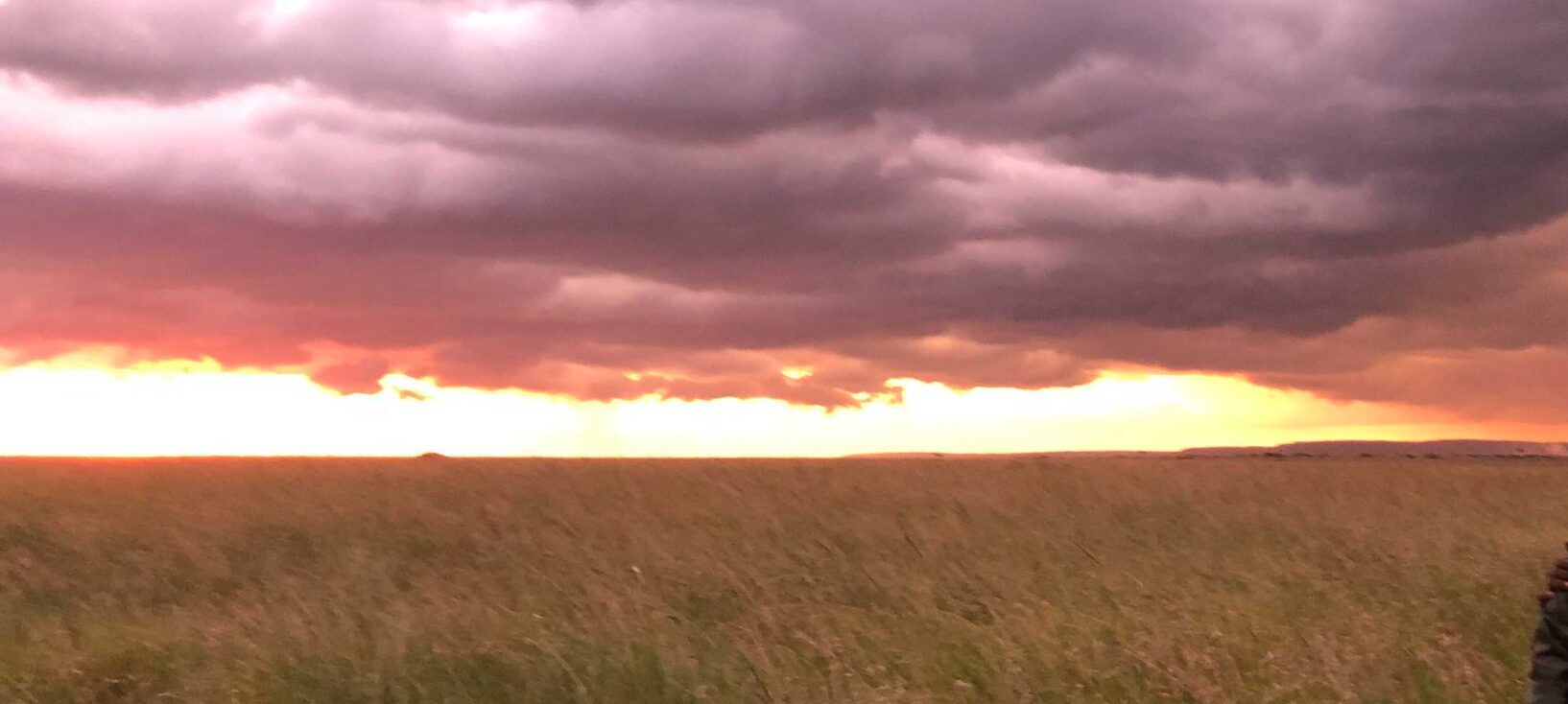 Seasons of Masai Mara