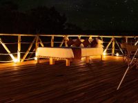 Stargazing in the Savannah: Navigating Southern Skies from the Equator