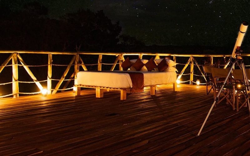 Stargazing in the Savannah: Navigating Southern Skies from the Equator