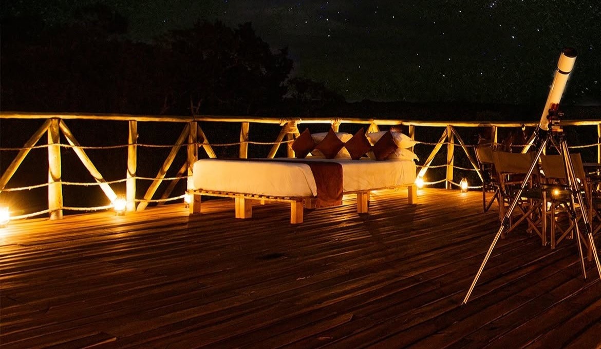 Stargazing in the Savannah: Navigating Southern Skies from the Equator