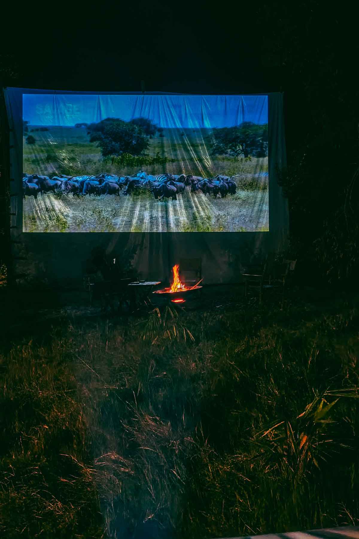 Bush movie experience at luxury camp in Masai Mara