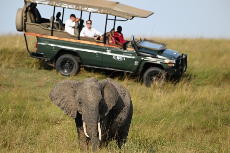 Safaris with Ilora Retreats