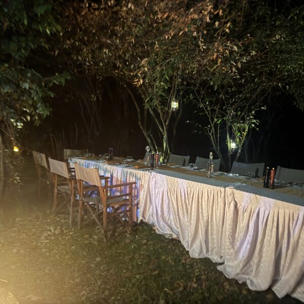 bush dinner at ilora retreats